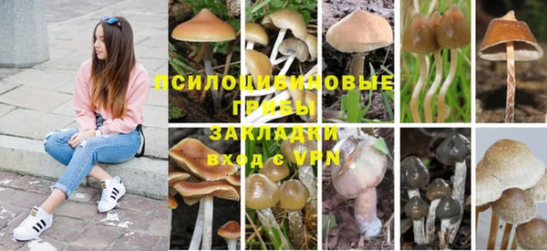 мяу мяу кристалл Абаза