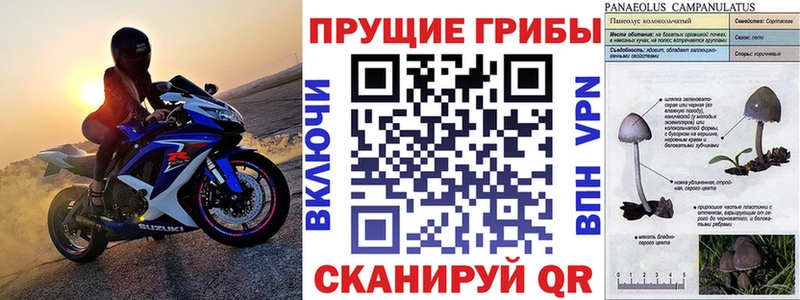 Галлюциногенные грибы ЛСД  ссылка на мегу сайт  Челябинск  как найти  