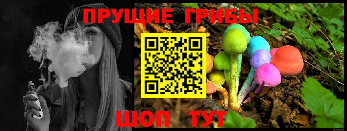 Псилоцибиновые грибы Cubensis  Вход с VPN  Челябинск 